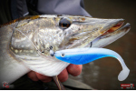 Ripper REDBASS PIKER - 155 mm