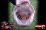 Ripper REDBASS PIKER - 155 mm