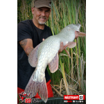 Ripper REDBASS PIKER - 155 mm