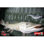 Ripper REDBASS PIKER - 155 mm