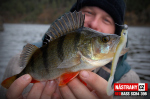 Smáček REDBASS SCB 4