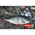 Smáček REDBASS SLR