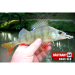 Smáček REDBASS SLR
