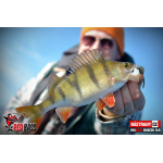 Smáček REDBASS SLR