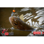 Mikrosmáček REDBASS SSF 1
