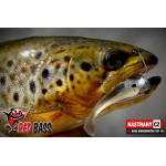 Mikrosmáček REDBASS SSF 1