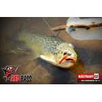 Mikrosmáček REDBASS SSF 1