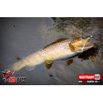 Mikrosmáček REDBASS SSF 1
