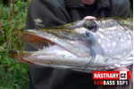Mikrosmáček REDBASS SSF 1
