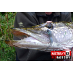 Mikrosmáček REDBASS SSF 1