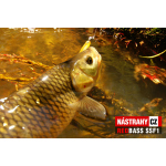 Mikrosmáček REDBASS SSF 1