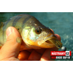 Mikrosmáček REDBASS SSF 2
