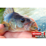 Mikrosmáček REDBASS SSF 1B