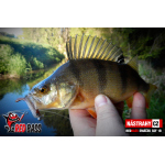 Mikrosmáček REDBASS SSF 1B