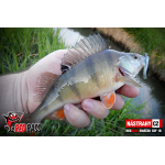 Mikrosmáček REDBASS SSF 1B