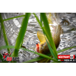Mikrosmáček REDBASS SSF 1B
