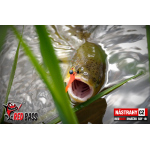 Mikrosmáček REDBASS SSF 1B
