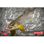 Mikrosmáček REDBASS SSF 1B
