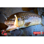 Mikrosmáček REDBASS SSF 2