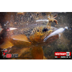 Mikrosmáček REDBASS SSF 1B