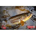 Mikrosmáček REDBASS SSF 1B
