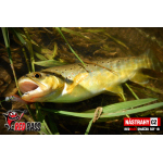 Mikrosmáček REDBASS SSF 1B