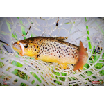 Mikrosmáček REDBASS SSF 1B
