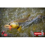 Mikrosmáček REDBASS SSF 2