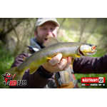 Mikrosmáček REDBASS SSF 1B
