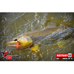 Mikrosmáček REDBASS SSF 1B
