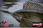 Smáček REDBASS SSF 4