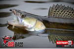 Smáček REDBASS SSF 4