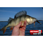 Smáček REDBASS SSF 3