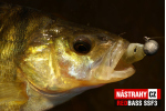 Smáček REDBASS SSF 3