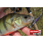 Mikrosmáček REDBASS SSR 1B