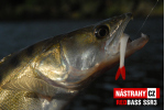 Smáček REDBASS SSR 3
