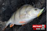 Smáček REDBASS SSR 3