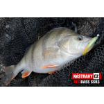 Smáček REDBASS SSR 3
