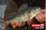 Smáček REDBASS SSR 3