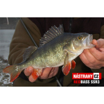 Smáček REDBASS SSR 3