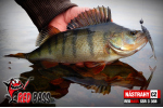 Smáček REDBASS SSR 3