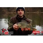 Smáček REDBASS SSR 3
