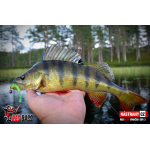 Smáček REDBASS SSR 3