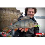 Smáček REDBASS SSR 3
