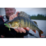Smáček REDBASS SSR 3