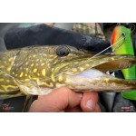 Ripper REDBASS SWIMMER XXL - 200 mm