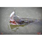 Ripper REDBASS SWIMMER XXL - 200 mm