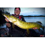 Ripper REDBASS SWIMMER XXL - 200 mm