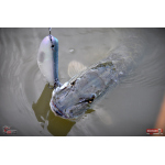 Ripper REDBASS SWIMMER XXL - 200 mm