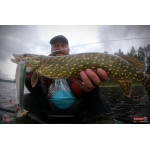 Ripper REDBASS SWIMMER XXL - 200 mm